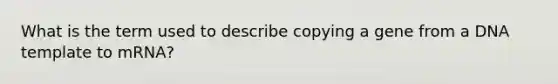 What is the term used to describe copying a gene from a DNA template to mRNA?