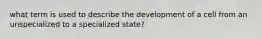 what term is used to describe the development of a cell from an unspecialized to a specialized state?