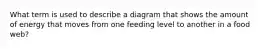 What term is used to describe a diagram that shows the amount of energy that moves from one feeding level to another in a food web?