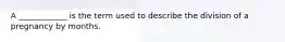 A ____________ is the term used to describe the division of a pregnancy by months.