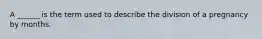 A ______ is the term used to describe the division of a pregnancy by months.