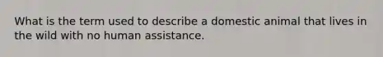 What is the term used to describe a domestic animal that lives in the wild with no human assistance.