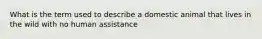 What is the term used to describe a domestic animal that lives in the wild with no human assistance