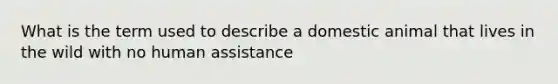 What is the term used to describe a domestic animal that lives in the wild with no human assistance