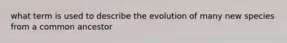 what term is used to describe the evolution of many new species from a common ancestor