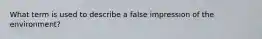 What term is used to describe a false impression of the environment?