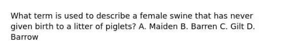 What term is used to describe a female swine that has never given birth to a litter of piglets? A. Maiden B. Barren C. Gilt D. Barrow