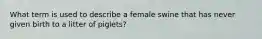 What term is used to describe a female swine that has never given birth to a litter of piglets?