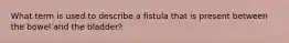 What term is used to describe a fistula that is present between the bowel and the bladder?