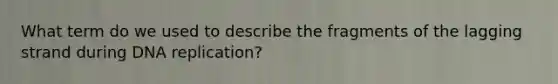 What term do we used to describe the fragments of the lagging strand during DNA replication?