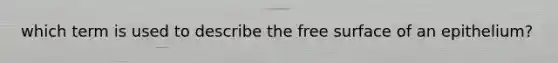 which term is used to describe the free surface of an epithelium?
