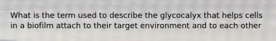 What is the term used to describe the glycocalyx that helps cells in a biofilm attach to their target environment and to each other