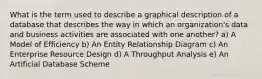 What is the term used to describe a graphical description of a database that describes the way in which an organization's data and business activities are associated with one another? a) A Model of Efficiency b) An Entity Relationship Diagram c) An Enterprise Resource Design d) A Throughput Analysis e) An Artificial Database Scheme