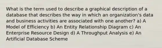 What is the term used to describe a graphical description of a database that describes the way in which an organization's data and business activities are associated with one another? a) A Model of Efficiency b) An Entity Relationship Diagram c) An Enterprise Resource Design d) A Throughput Analysis e) An Artificial Database Scheme