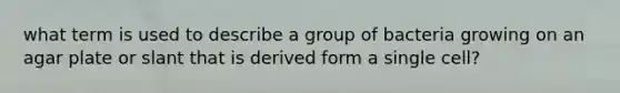 what term is used to describe a group of bacteria growing on an agar plate or slant that is derived form a single cell?