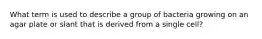 What term is used to describe a group of bacteria growing on an agar plate or slant that is derived from a single cell?