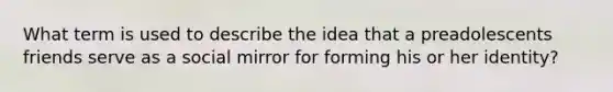 What term is used to describe the idea that a preadolescents friends serve as a social mirror for forming his or her identity?