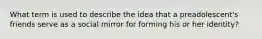 What term is used to describe the idea that a preadolescent's friends serve as a social mirror for forming his or her identity?
