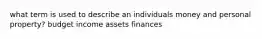 what term is used to describe an individuals money and personal property? budget income assets finances