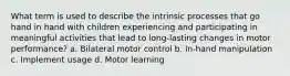 What term is used to describe the intrinsic processes that go hand in hand with children experiencing and participating in meaningful activities that lead to long-lasting changes in motor performance? a. Bilateral motor control b. In-hand manipulation c. Implement usage d. Motor learning