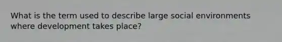 What is the term used to describe large social environments where development takes place?