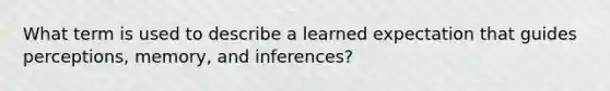 What term is used to describe a learned expectation that guides perceptions, memory, and inferences?