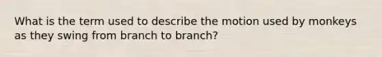 What is the term used to describe the motion used by monkeys as they swing from branch to branch?