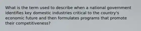 What is the term used to describe when a national government identifies key domestic industries critical to the country's economic future and then formulates programs that promote their competitiveness?