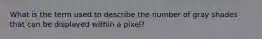 What is the term used to describe the number of gray shades that can be displayed within a pixel?