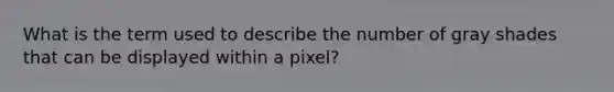 What is the term used to describe the number of gray shades that can be displayed within a pixel?