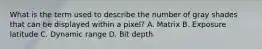 What is the term used to describe the number of gray shades that can be displayed within a pixel? A. Matrix B. Exposure latitude C. Dynamic range D. Bit depth