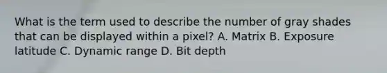 What is the term used to describe the number of gray shades that can be displayed within a pixel? A. Matrix B. Exposure latitude C. Dynamic range D. Bit depth