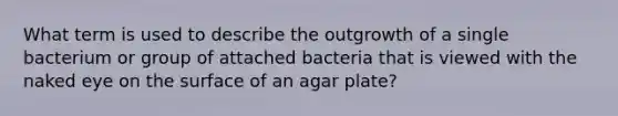 What term is used to describe the outgrowth of a single bacterium or group of attached bacteria that is viewed with the naked eye on the surface of an agar plate?