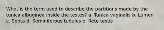 What is the term used to describe the partitions made by the tunica albuginea inside the testes? a. Tunica vaginalis b. Lumen c. Septa d. Seminiferous tubules e. Rete testis