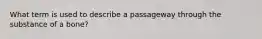 What term is used to describe a passageway through the substance of a bone?