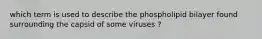 which term is used to describe the phospholipid bilayer found surrounding the capsid of some viruses ?