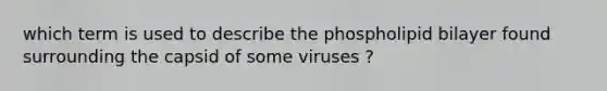 which term is used to describe the phospholipid bilayer found surrounding the capsid of some viruses ?