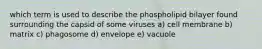 which term is used to describe the phospholipid bilayer found surrounding the capsid of some viruses a) cell membrane b) matrix c) phagosome d) envelope e) vacuole