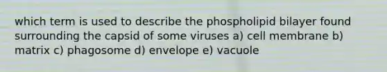 which term is used to describe the phospholipid bilayer found surrounding the capsid of some viruses a) cell membrane b) matrix c) phagosome d) envelope e) vacuole