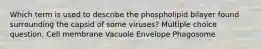 Which term is used to describe the phospholipid bilayer found surrounding the capsid of some viruses? Multiple choice question. Cell membrane Vacuole Envelope Phagosome