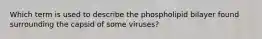 Which term is used to describe the phospholipid bilayer found surrounding the capsid of some viruses?