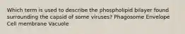 Which term is used to describe the phospholipid bilayer found surrounding the capsid of some viruses? Phagosome Envelope Cell membrane Vacuole