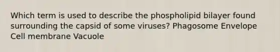 Which term is used to describe the phospholipid bilayer found surrounding the capsid of some viruses? Phagosome Envelope Cell membrane Vacuole