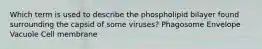 Which term is used to describe the phospholipid bilayer found surrounding the capsid of some viruses? Phagosome Envelope Vacuole Cell membrane