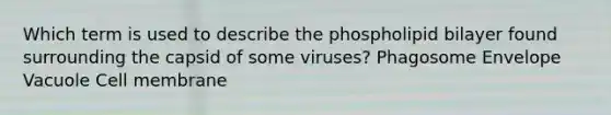 Which term is used to describe the phospholipid bilayer found surrounding the capsid of some viruses? Phagosome Envelope Vacuole Cell membrane