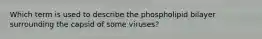 Which term is used to describe the phospholipid bilayer surrounding the capsid of some viruses?