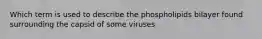 Which term is used to describe the phospholipids bilayer found surrounding the capsid of some viruses