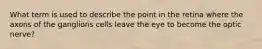 What term is used to describe the point in the retina where the axons of the ganglions cells leave the eye to become the optic nerve?