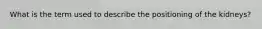 What is the term used to describe the positioning of the kidneys?