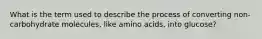 What is the term used to describe the process of converting non-carbohydrate molecules, like amino acids, into glucose?